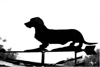 Dachshund Wire-haired weathervane